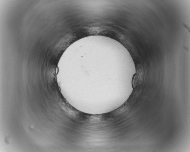 X0000102220574200808151708