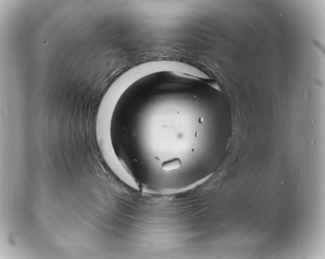 X0000102220576200808151708