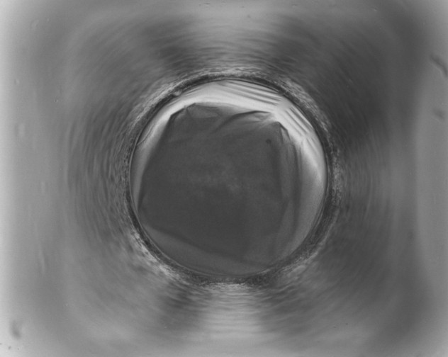 X0000102220577200808151707