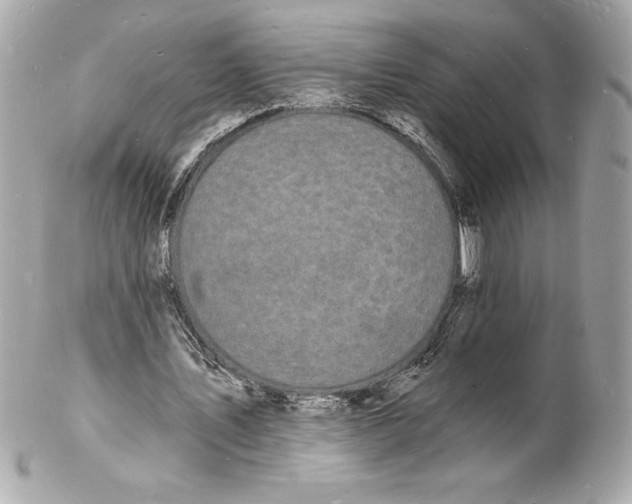 X0000102220579200808151707