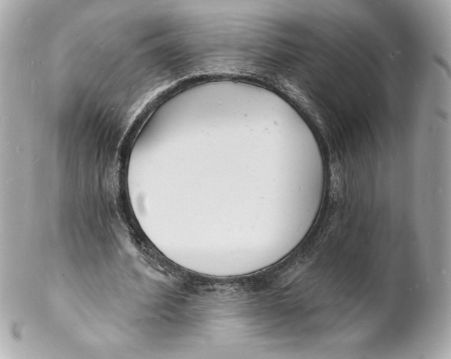 X0000102220580200808151707