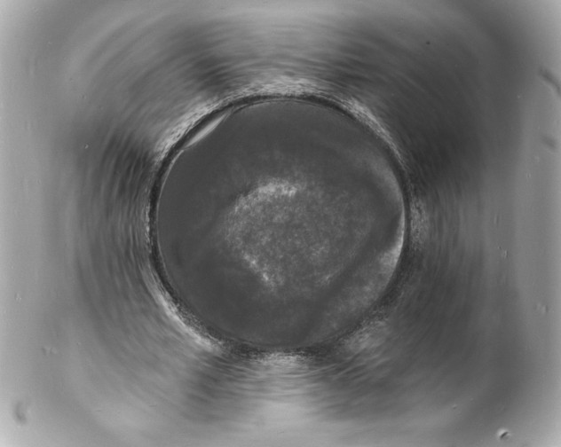 X0000102220581200808151707