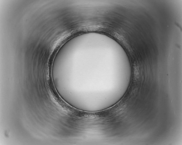 X0000102220582200808151707