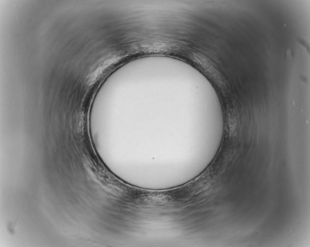 X0000102220583200808151707