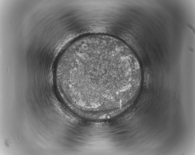 X0000102220584200808151707