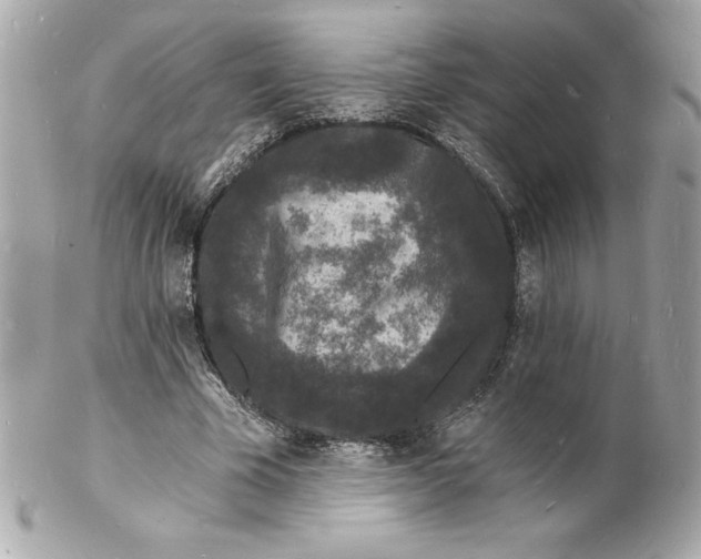 X0000102220585200808151707