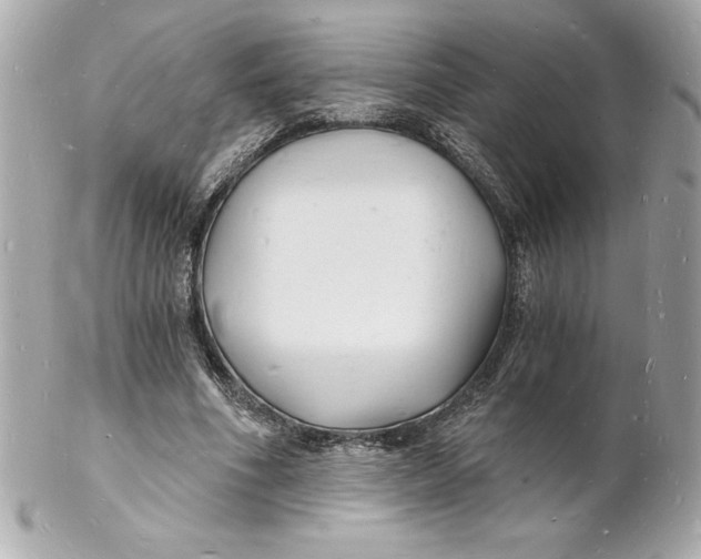 X0000102220586200808151707