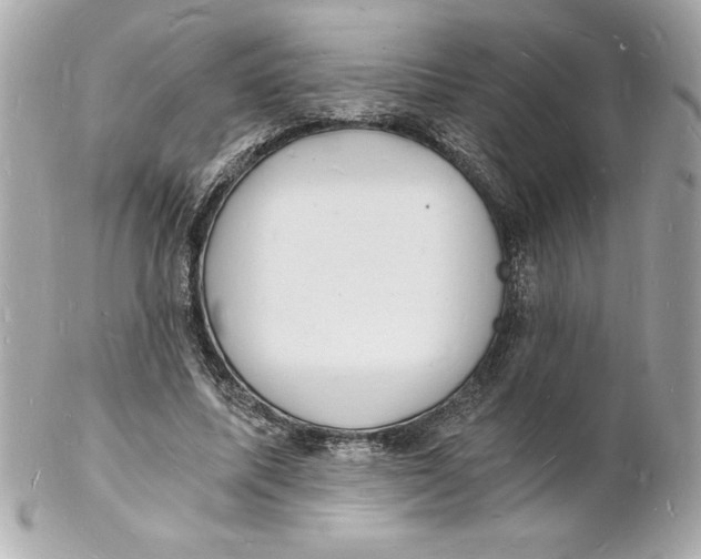 X0000102220587200808151707