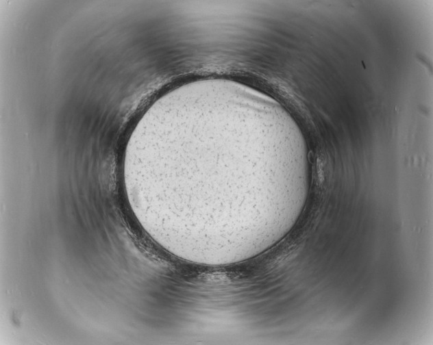 X0000102220588200808151707