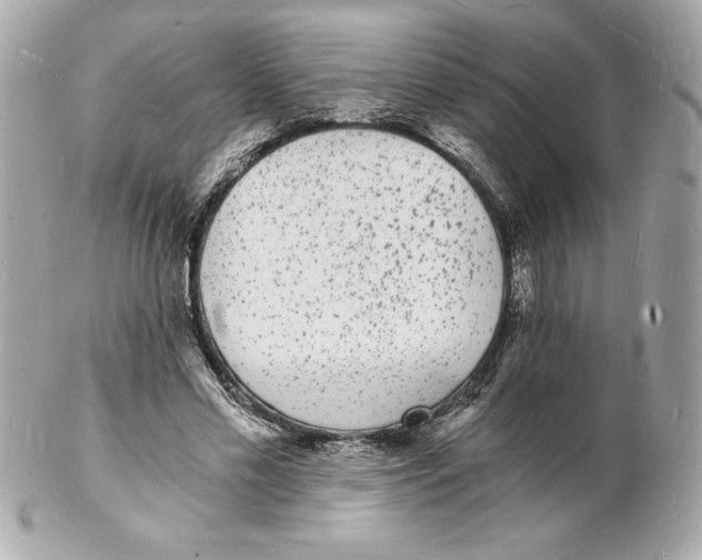 X0000102220589200808151707