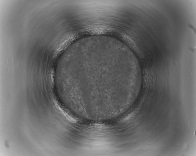 X0000102220590200808151707