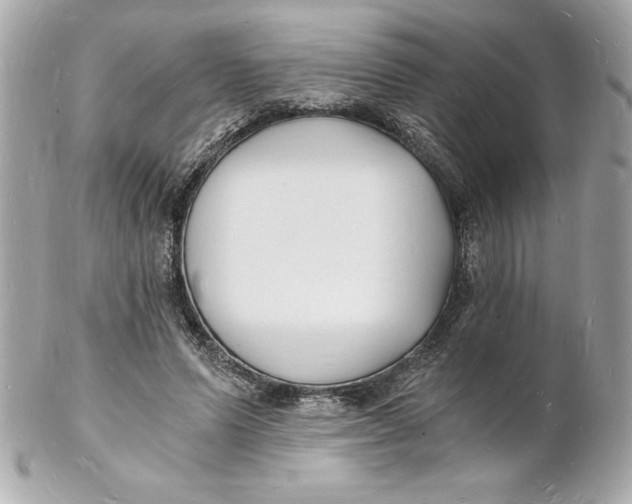 X0000102220591200808151707