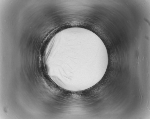 X0000102220592200808151707