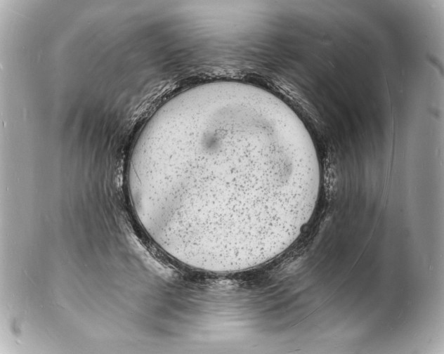 X0000102220593200808151707