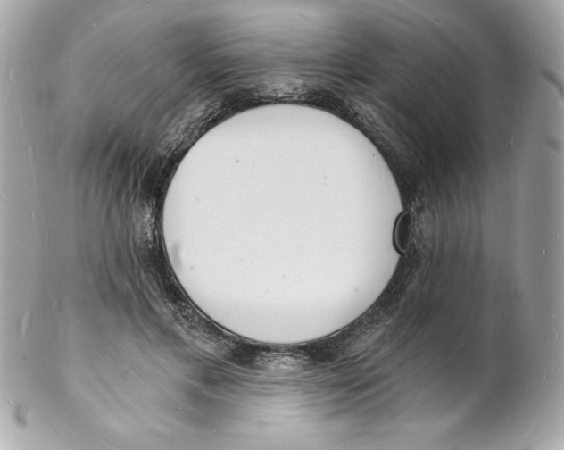 X0000102220597200808151707