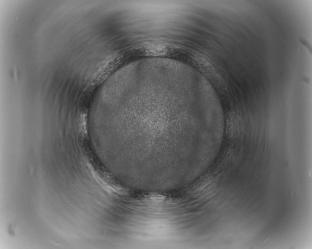 X0000102220598200808151707