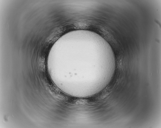 X0000102220599200808151707