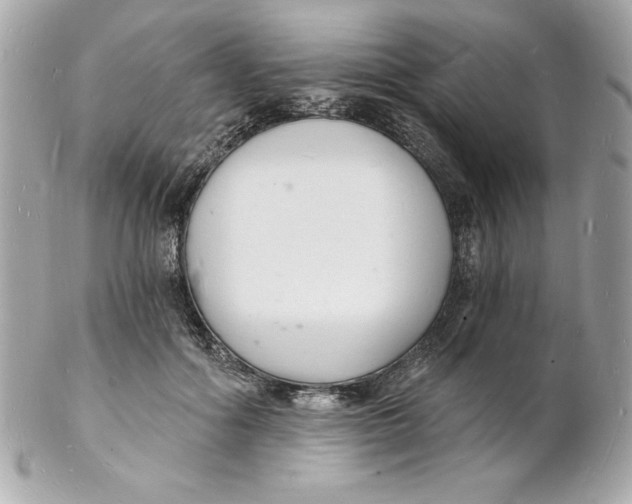 X0000102220602200808151707