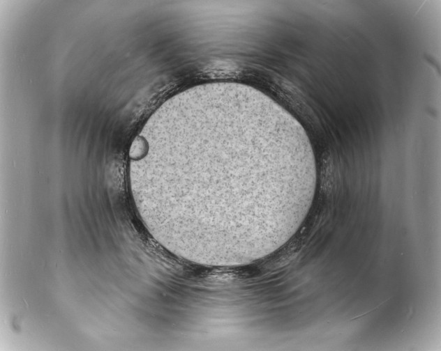 X0000102220604200808151707