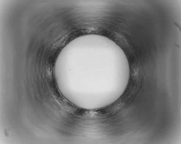 X0000102220607200808151707