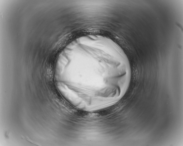 X0000102220609200808151707