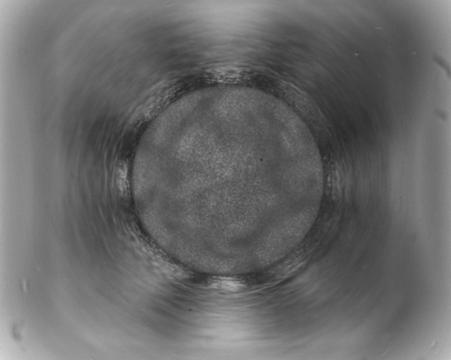 X0000102220610200808151707