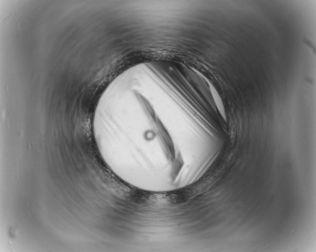 X0000102220613200808151707