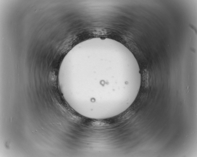 X0000102220614200808151707