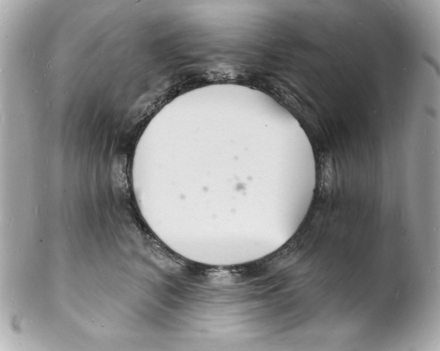 X0000102220616200808151707