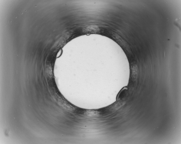 X0000102220617200808151707