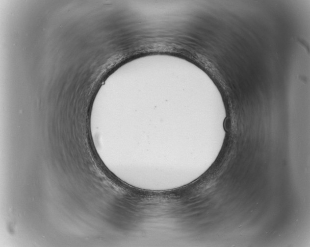 X0000102220625200808151706