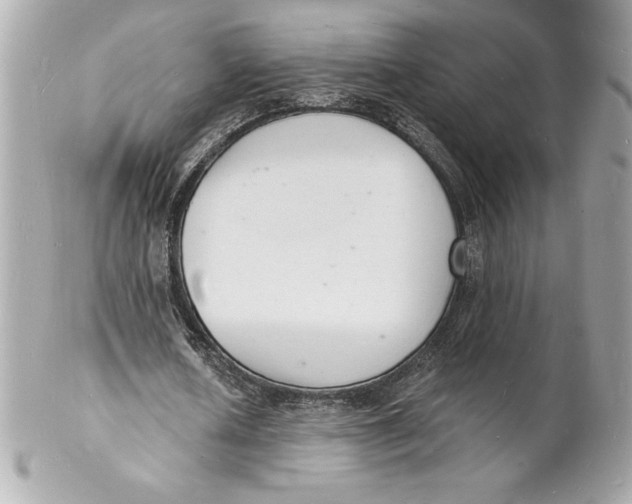 X0000102220626200808151706