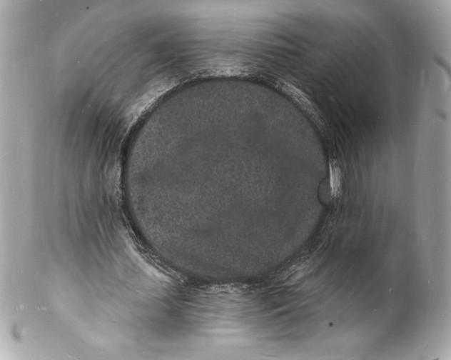 X0000102220627200808151706