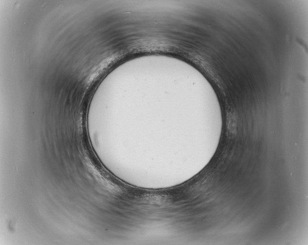 X0000102220629200808151706