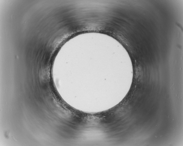 X0000102220632200808151706