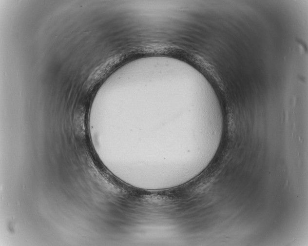 X0000102220633200808151706