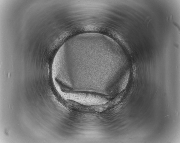 X0000102220637200808151706