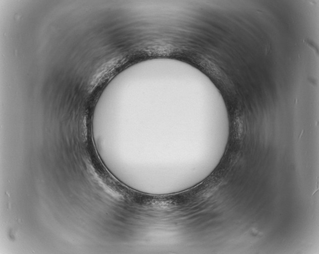 X0000102220638200808151706