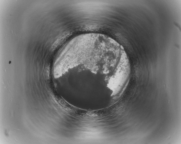 X0000102220640200808151706