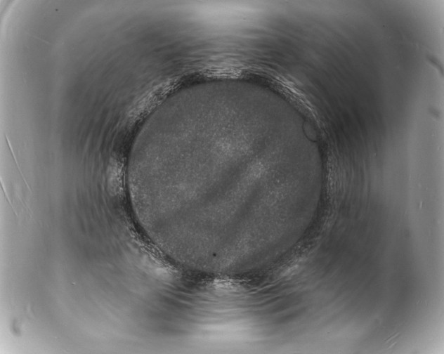 X0000102220641200808151706