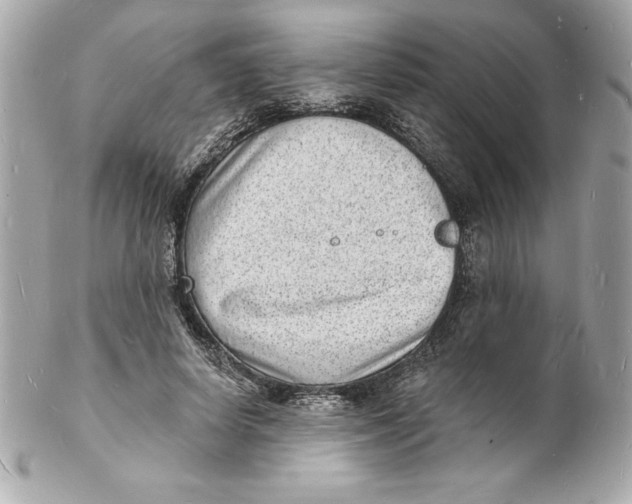 X0000102220642200808151706