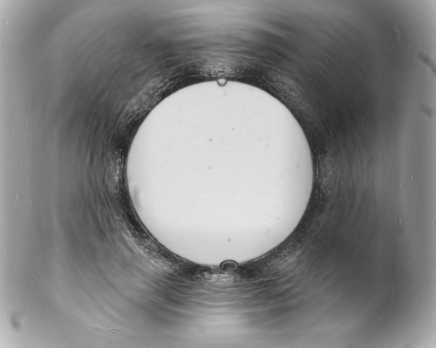 X0000102220645200808151706