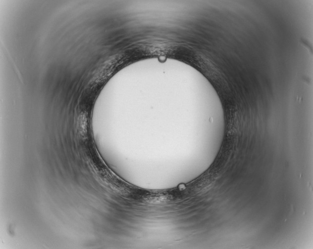 X0000102220646200808151706