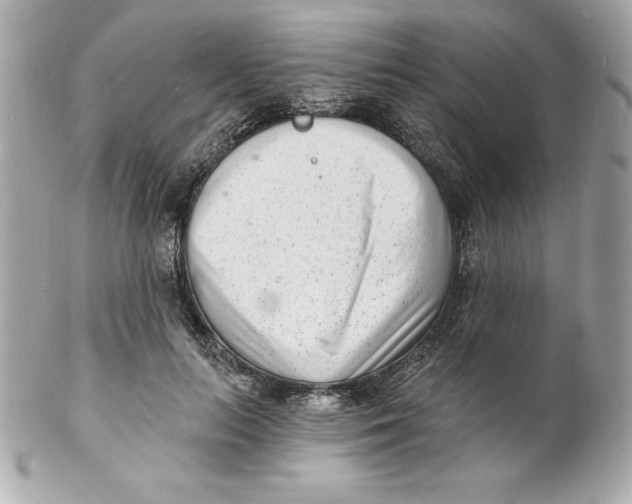 X0000102220647200808151706