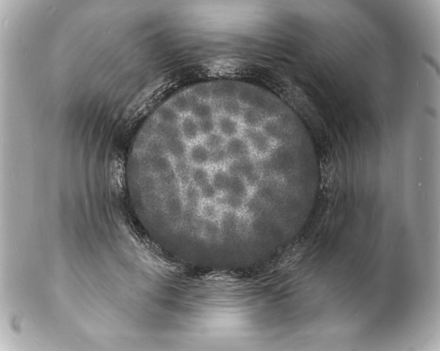 X0000102220648200808151706