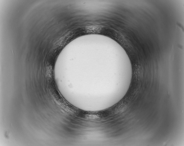 X0000102220649200808151706