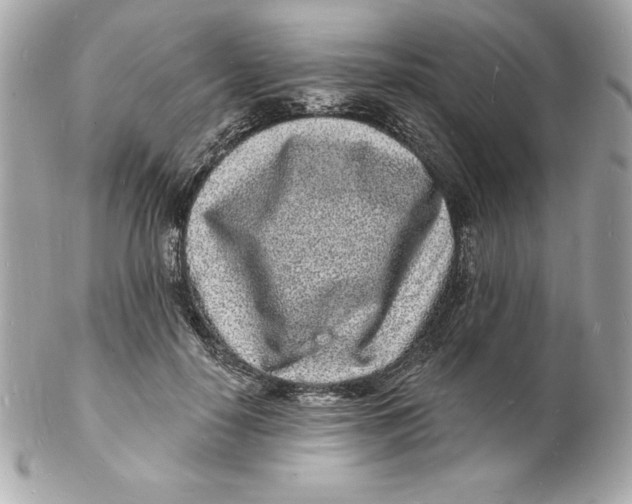 X0000102220650200808151706