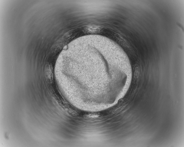 X0000102220651200808151706