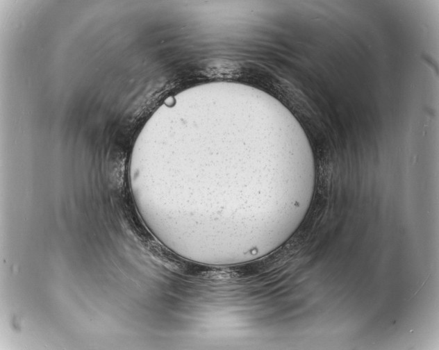 X0000102220652200808151706