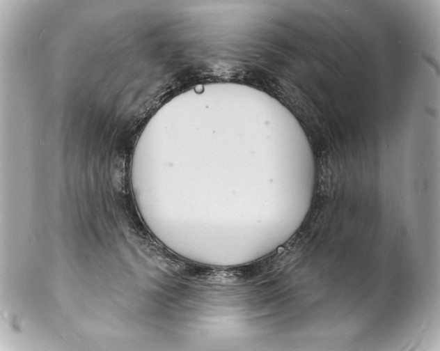 X0000102220656200808151706